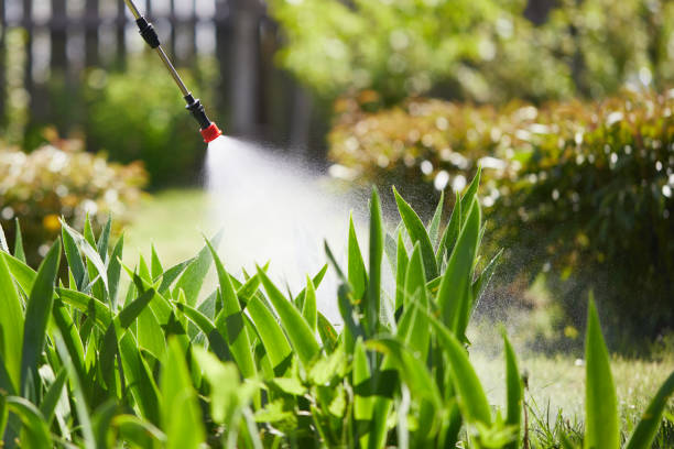 24/7 Emergency Mosquito Control experts in Lead, SD