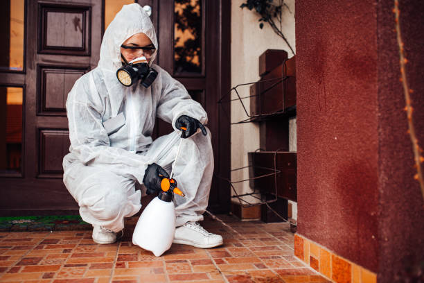 Reliable Mosquito Control contractor in Lead, SD by Show Me Pest Control